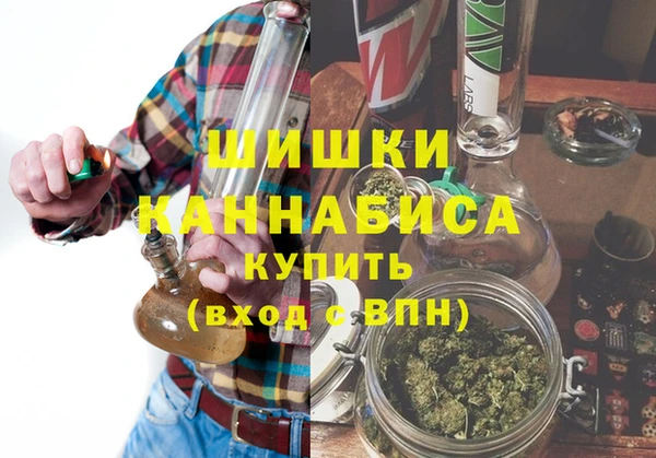 гашик Михайловск