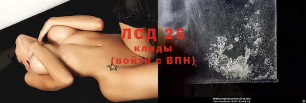 гашик Михайловск