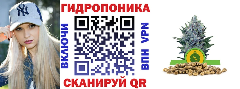 Каннабис гибрид  Иланский 
